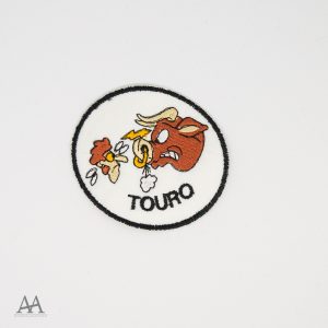 Touro
