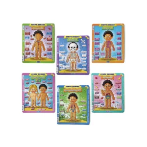Puzzles Corpo Humano – 35pcs